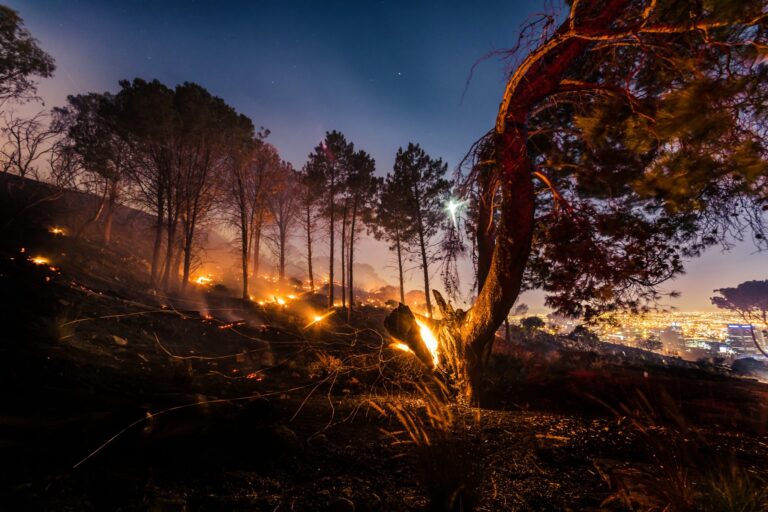 BCI Urges Acceleration of Climate Policy Action, With Emerging Technologies To Play A Role