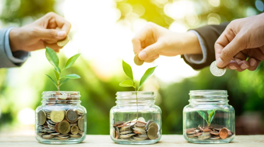 Hands place coins in three jars filled with sprouting plants and coins, symbolizing growth and investment.