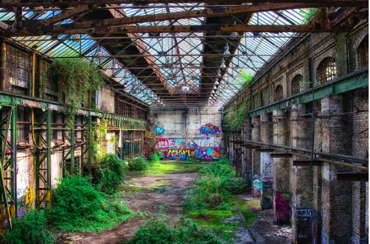 Abandoned industrial building with a glass roof, overgrown vegetation, and colorful graffiti on brick walls.