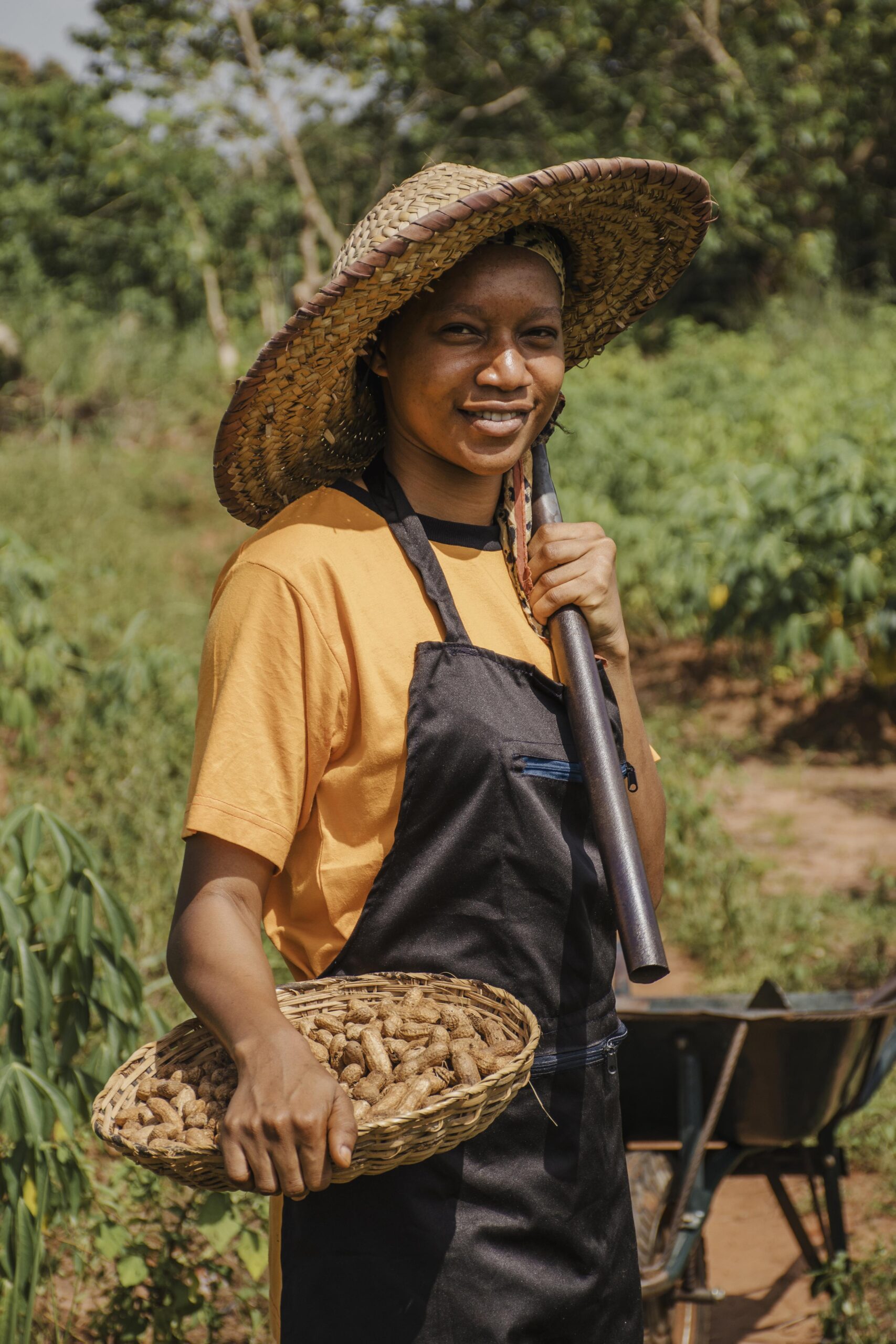 A person wearing a straw hat and apron stands outdoors holding a basket of harvested peanuts and a garden tool, with green vegetation in the background.